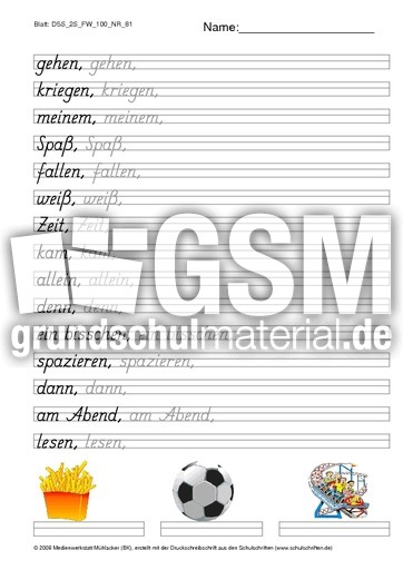 DSS_2S_FW_100_NR_81.pdf